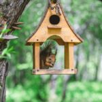 Dlaczego warto wybrać drewniane karmniki zamiast plastikowych?